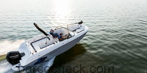 Bayliner Element E21 avaliação e ficha técnica
